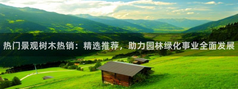 卧龙娱乐总代