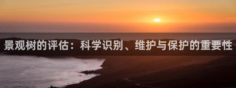 卧龙娱乐396667