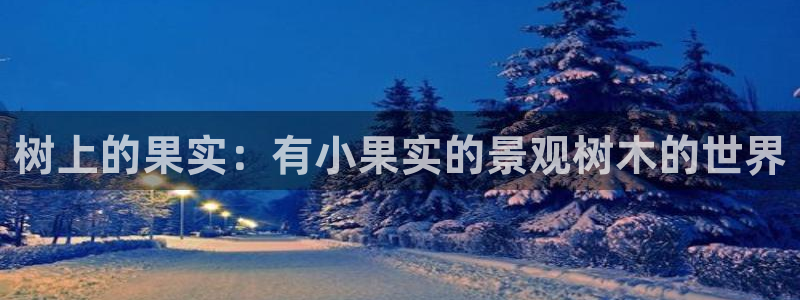 卧龙娱乐设备