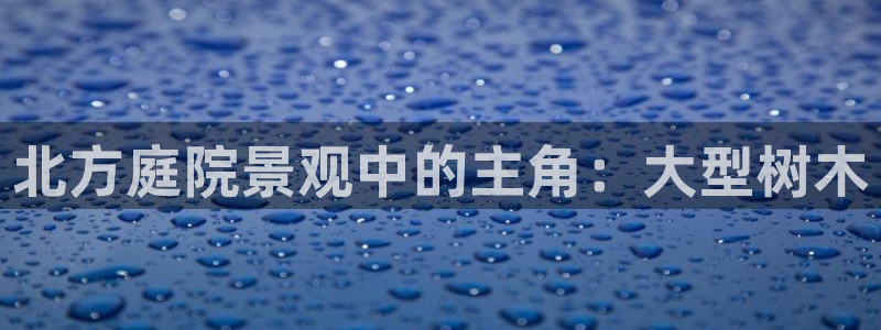 卧龙娱乐不出款了吗