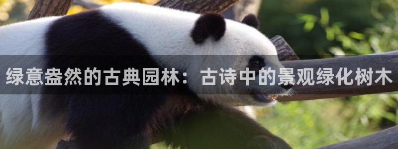 卧龙区娱乐会所