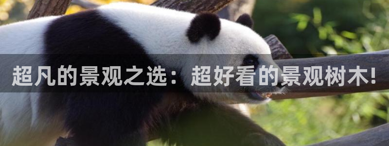 卧龙港休闲娱乐会所