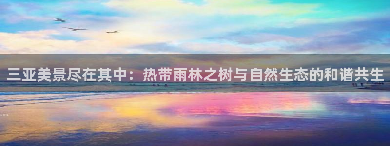 卧龙娱乐集团官网