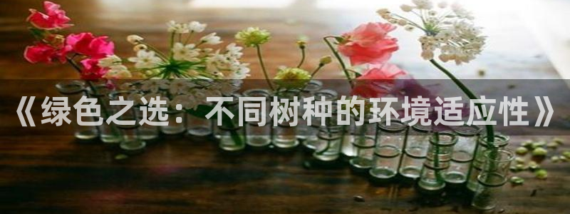 卧龙娱乐主管
