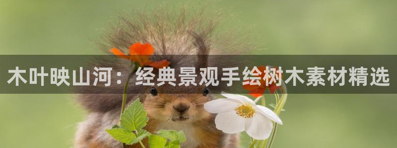 卧龙儿童娱乐海洋球