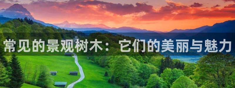 卧龙娱乐总管是谁