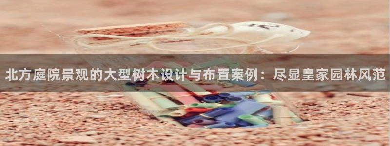 卧龙娱乐382223主管