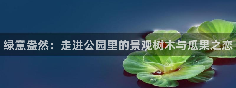 卧龙凤雏娱乐直播