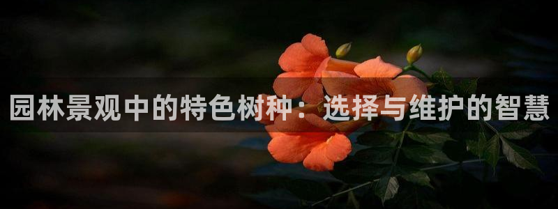 卧龙娱乐上：园林景观中的特色树种：选择与维护的智慧