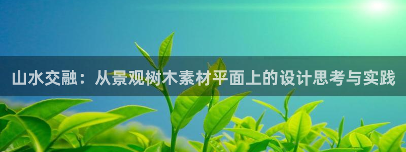 卧龙娱乐主管是谁呀：山水交融：从景观树木素材平面上的设计思考与实践