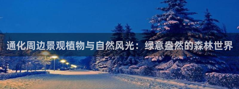 卧龙娱乐可靠吗：通化周边景观植物与自然风光：绿意盎然的森林世界