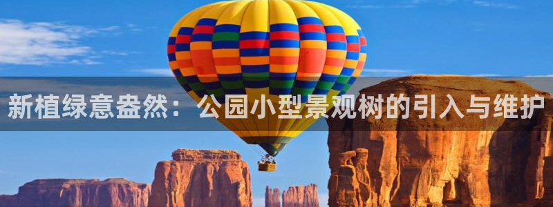 卧龙台球娱乐