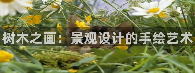 卧龙娱乐怎么注册会员：树木之画：景观设计的手绘艺术