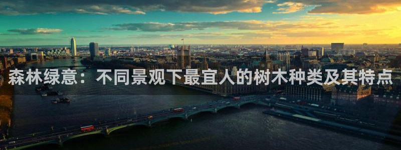 卧龙娱乐地：森林绿意：不同景观下最宜人的树木种类及其特点