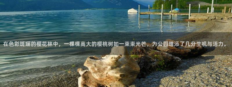 pt娱乐 卧龙招商60447：在色彩斑斓的樱花林中，一棵棵高大的樱桃树如一束束光芒，为公园增添了几分