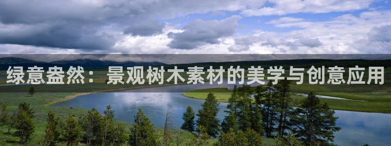 卧龙湾娱乐项目有哪些