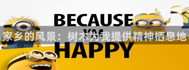 卧龙区休闲娱乐