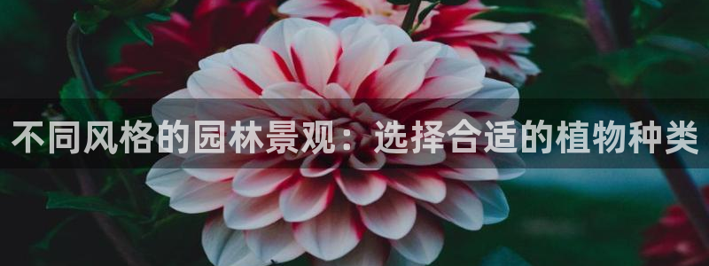 太和卧龙娱乐会所招聘