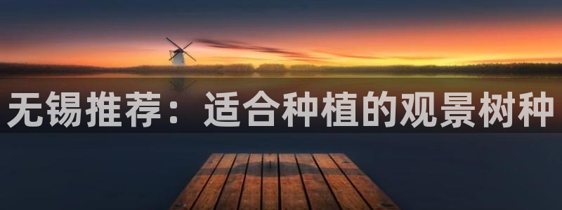 卧龙娱乐总代理是谁呀