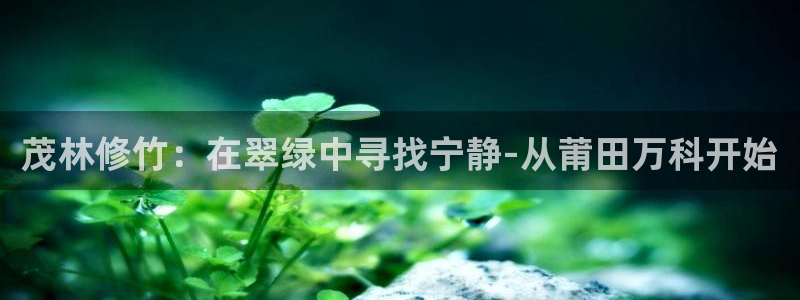 卧龙娱乐招商主管：茂林修竹：在翠绿中寻找宁静-从莆田万科开始