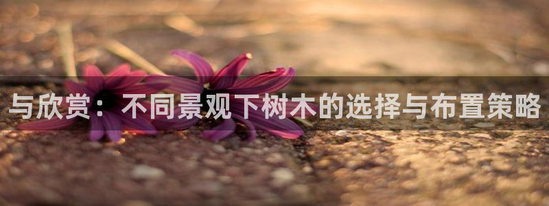 SKY娱乐 卧龙主管60447：与欣赏：不同景观下树木的选择与布置策略