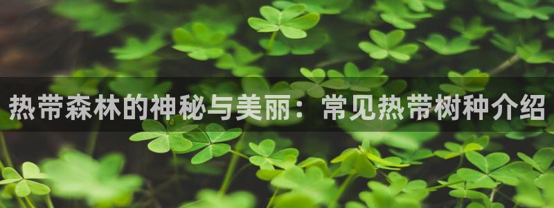 卧龙湾娱乐项目有哪些：热带森林的神秘与美丽：常见热带树种介绍