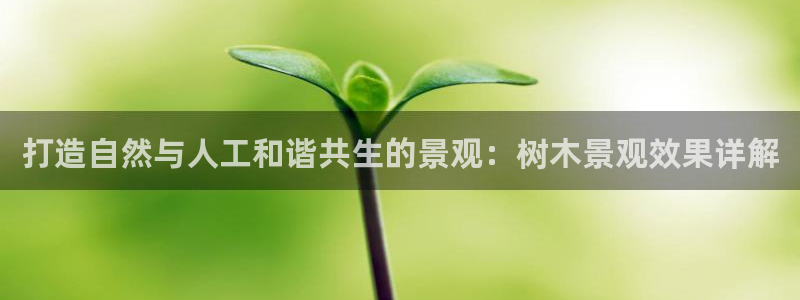 卧龙凤雏娱乐湘西