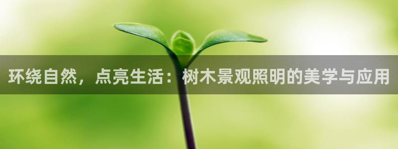 卧龙娱乐主管：环绕自然，点亮生活：树木景观照明的美学与应用