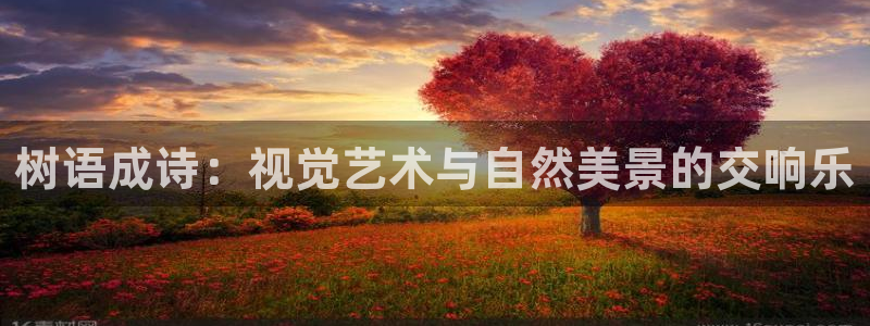 卧龙娱乐场所
