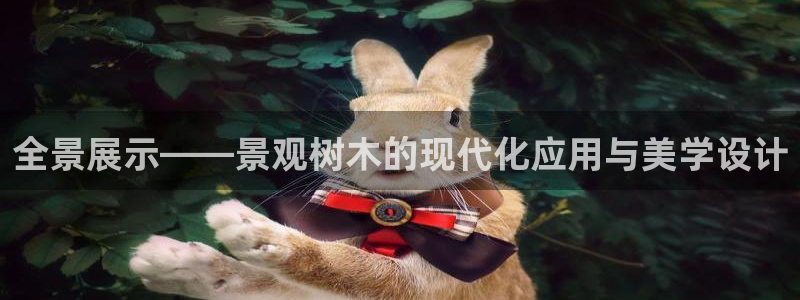 卧龙湾娱乐项目有哪些