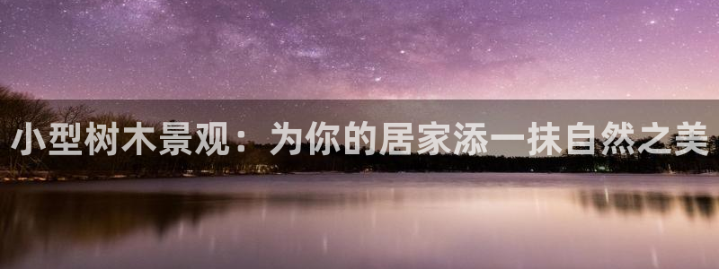 卧龙沙滩娱乐