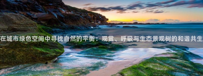 卧龙娱乐地7O667