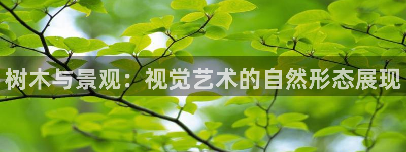 wow卧龙娱乐：树木与景观：视觉艺术的自然形态展现