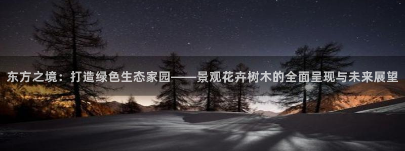 卧龙新款娱乐设备