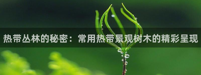 卧龙凤雏娱乐抖音：热带丛林的秘密：常用热带景观树木的精彩呈现