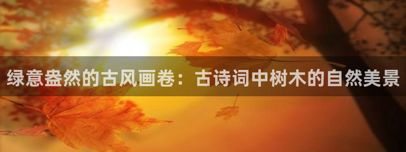 卧龙玩娱乐场