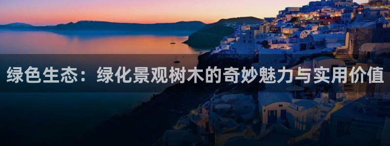 j卧龙娱乐
