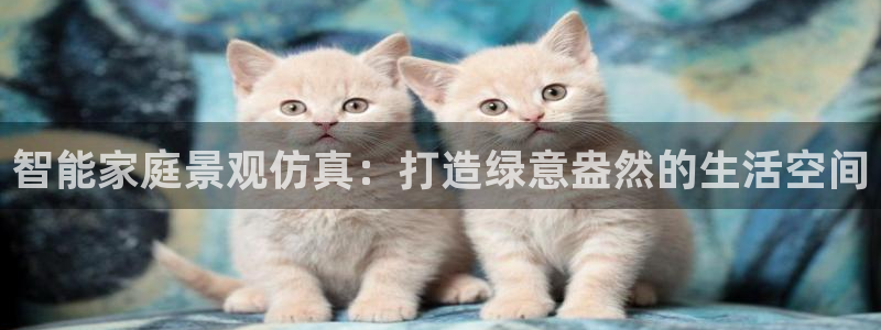 卧龙娱乐主管