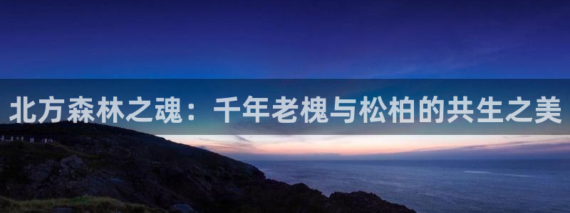 BA娱乐卧龙主管60447：北方森林之魂：千年老槐与松柏的共生之美