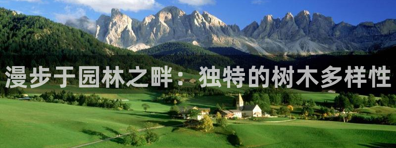 卧龙休闲娱乐热门推荐：漫步于园林之畔：独特的树木多样性