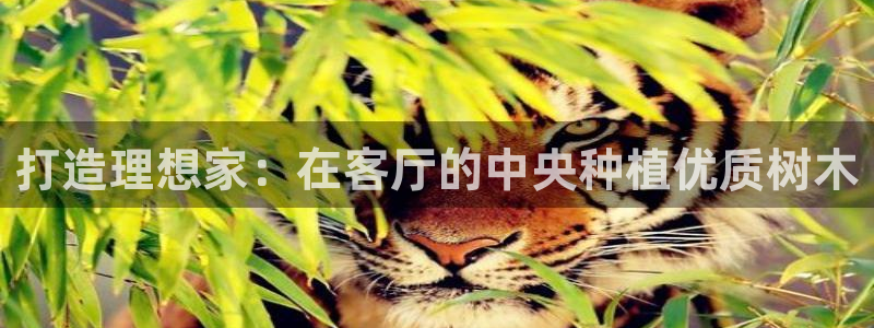 卧龙娱乐滴qv382223：打造理想家：在客厅的中央种植优质树木