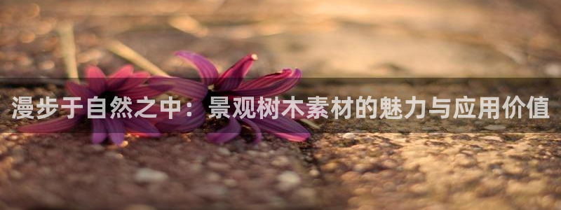 卧龙娱乐是真假吗