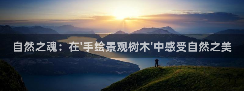 卧龙凤雏娱乐运城：自然之魂：在\'手绘景观树木\'中感受自然之美