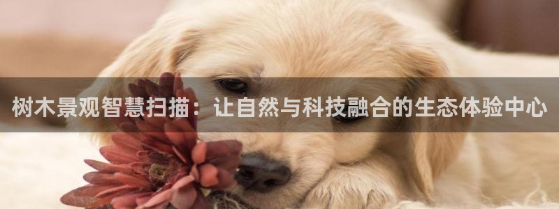 sky娱乐 扣卧龙60447