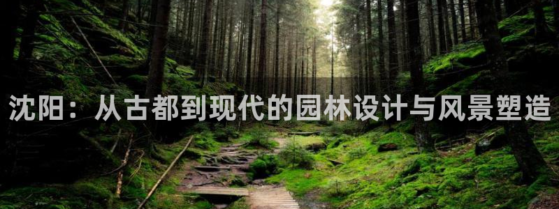 卧龙娱乐挂机平台有哪些