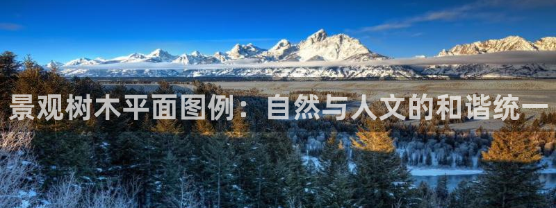 卧龙娱乐是真假吗