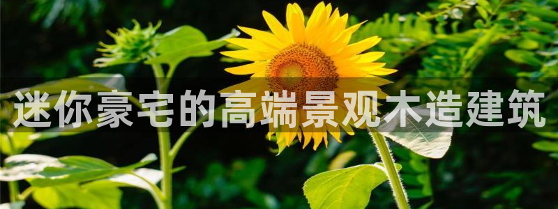 卧龙娱乐属于什么公司