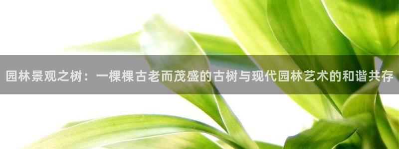 卧龙娱乐设备:园林景观之树:一棵棵古老而茂盛的古树与现代园林艺术的和谐共存