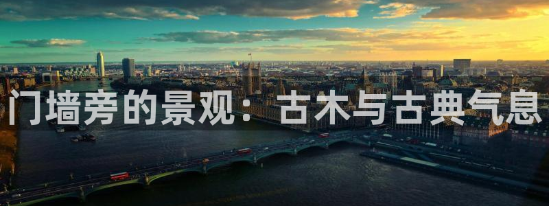 卧龙桥休闲娱乐园:门墙旁的景观:古木与古典气息