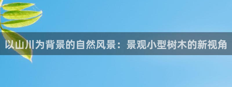 卧龙休闲娱乐推荐